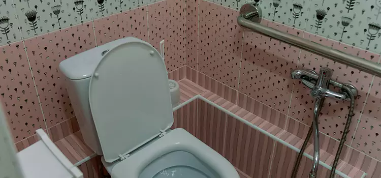 Meeting Diverse Needs With Accessible Restroom Solutions in Grapevine, TX